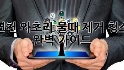 연천 와초리 물때 제거 청소 완벽 가이드