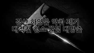 🏠✨ 경산 하양읍 악취 제거 대작전! 청소 꿀팁 대방출 💨